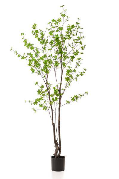 Kunstpflanze Tropaeolum speciosum – Ostindische Kirsche – 210 cm – Realistischer Kunstbaum – Pflegefrei – Für Büro, Wohnzimmer & Wintergarten – Dekobaum mit Natur-Look