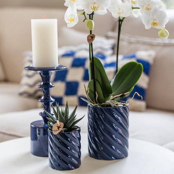 Candy Dekotopf – Hoch – Blau – Ø9cm – Moderner Keramiktopf in kräftigen Farben – Stilvoller Pflanzentopf für Zimmerpflanzen, Orchideen & Sukkulenten