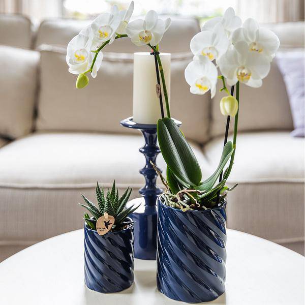 Candy Dekotopf – Hoch – Blau – Ø9cm – Moderner Keramiktopf in kräftigen Farben – Stilvoller Pflanzentopf für Zimmerpflanzen, Orchideen & Sukkulenten